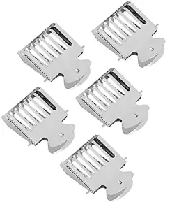 Aplayfulbee 765071705260 Queen Cage Catcher Clips 5pcs Stainless Steel Catching Tool Beekeeping