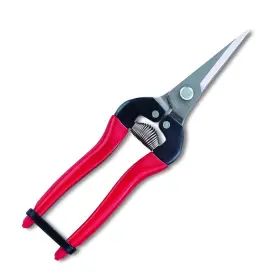 Hp-300ldx Ars 965280658128 Stainless Steel Needle Nose Fruit Pruners