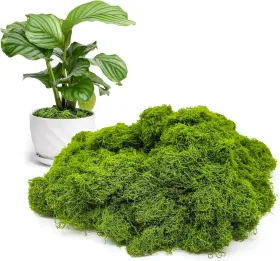 Jtx-01 Aspamms Fake Green Moss For Potted Plants Indoor 5.3oz Artificial Dark