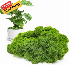 Jtx-02 Aspamms Fake Green Moss For Potted Plants Indoor 5.3oz Artificial Light