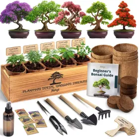Avbk5-v2-g Avergo Bonsai Tree Kit Classic 5x Unique Japanese Bonzai Trees Complete Inch