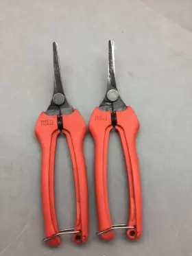 P128-19 Bahco Grape Vine Snips Lot 2 Pr Made France Harvesting Thinning Vineyard
