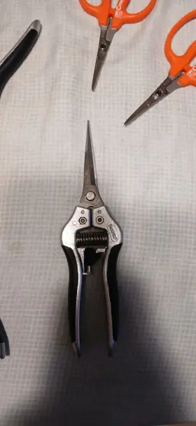 A3001sl Bernal 3001sl Barnel Ergonomic Straight-blade Needlenose Shears