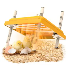 Ghgg0014 Bestyijo Chick Heater Brooder Plate 10 Inch X For Chicks Adjust