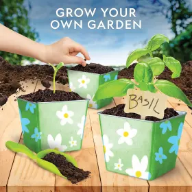 Blue Marble 810070620301 National Geographic Herb Growing Kit For Kids - Decorate 3 Pots With Paint An #2