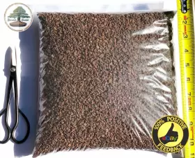 64565 Bonsai Snow 6 Lbs 1/8-1/4 Horticultural Lava Rock For Cactus And Tree Soil