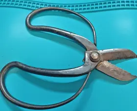 Brand Name Stamped On The Metal. 6.5&quot Vintage Japanese Bonsai Tree Pruning Scissors 6.5 Inch #2