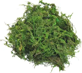 Fm1097 Brand Topcomww Fake Moss For Centerpieces Decor Aftificial Green - 3.5oz