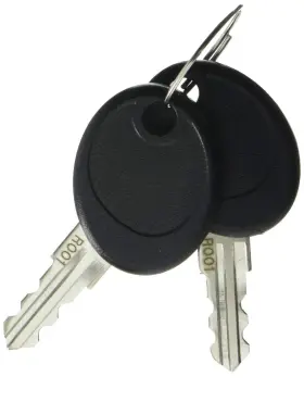207652gs Briggs & Stratton 024847722338 And Key Set