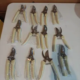 C012 Bugui Garden Shears Set Of 12 White Pruning