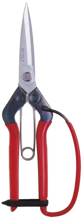 T-710gdx Chikamasa 313109510579 Professional Horticultural Pine Needles Scissors