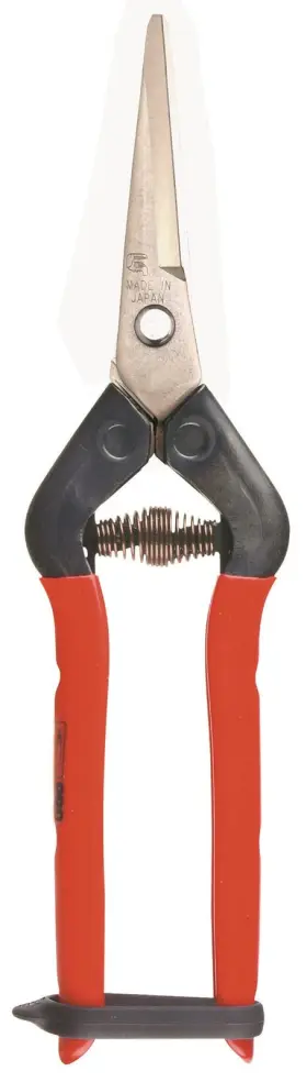T-55sc Chikamasa 967645044317 Professional Harvesting Vegetable Fruit Wide Gardening Shears/scissors