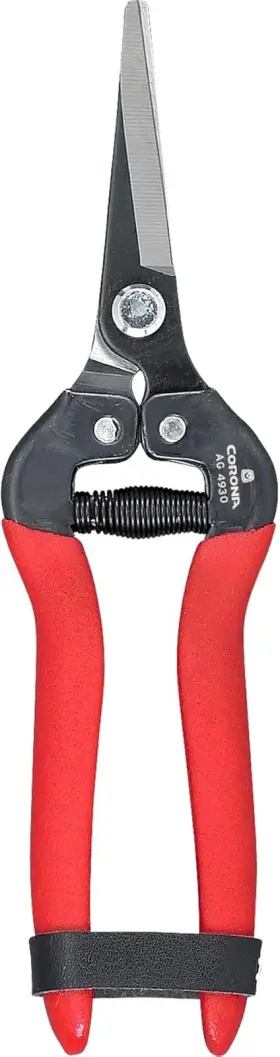 4930 Clipper Company Long Straight Snip