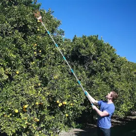 Coconut 649670945749 Fruit Picker Tool With Basket And Pole #2