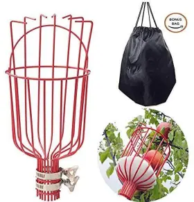 Coconut 649670945756 Fruit Picker Tool Pole With Basket Height Adjustable - 8ft Mang #2