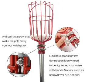 Coconut 649670945756 Fruit Picker Tool Pole With Basket Height Adjustable - 8ft Mang #3