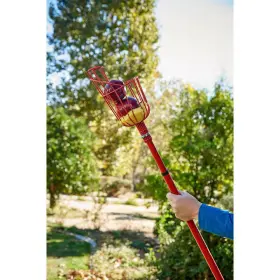 Corona 445006898870 Extendable Reach Fruit Picker Aluminum Pole Handheld Fruits Grabber 12 Ft 1 Pack