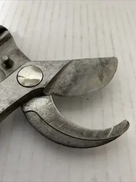Bp-3225 Corona Bp 3225 Bypass Two-handed Resharpenable Pruner 3/4 Inch #3