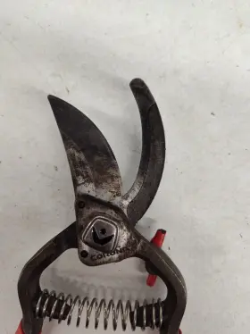 Bp15180 Corona Classic Cut Pruner Branch Garden Shears Forged Steel Red 1 Inch #3