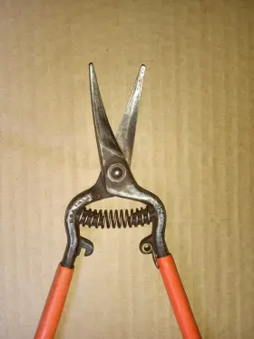 1060s Corona Clipper Vintage Grape Shears Pruning Approx. 7-1/2 Inch