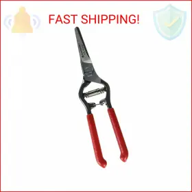 Fs4310 Corona Fs 4310 Bonsai And Orchids Mini Shear With Vinyl Coated Steel Handles 1-1/