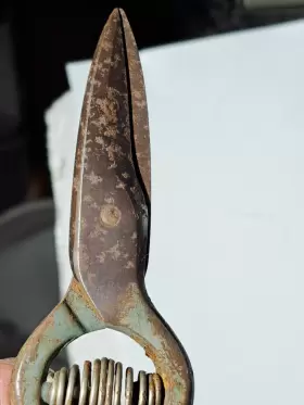 4597 Craftsman Vintage Gardening Pruning Sheers 6.5 Inch #2