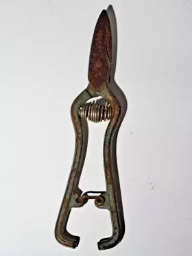 4597 Craftsman Vintage Gardening Pruning Sheers 6.5 Inch