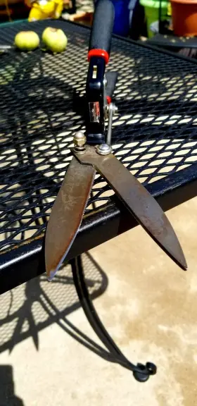 7185258 Craftsman Vintage Locking Grass Shears #7185258 U.s.a. Made Ships Free #3