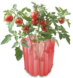 Dalen 016069006723 Gardeneer Season Starter Early Insulated Plant 3 Pack Red