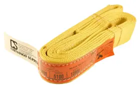 C49-ns2x06 Dd Sling & Supply Inc. 2 Inch X 6 Foot Nylon Lifting Usa Made 400 Lb Vertical