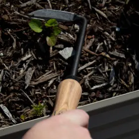31-0915 Dewit Right Hand Cape Cod Weeder - Tempered Steel With Ash Wood Handle 10.5 In #2
