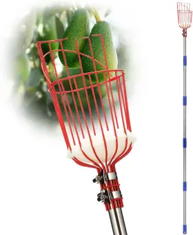 Donsail 445022735777 Pomelo Fruit Picker Pole Tool With Basket Telescoping Long Handle 35-95