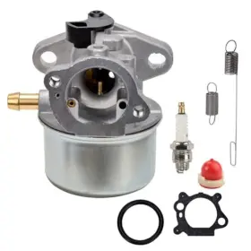With122000 Dvelopch 716963826396 799868 Carburetor Compatible Model Briggs And Stratton 98254 497347