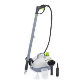 Ds1600 Dynasteam Usedopen Box 3 Steam The Weeds Away With Superheated