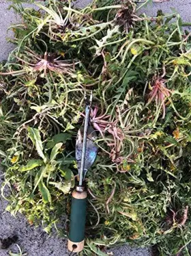Edward Tools 027132856275 Weeding Tool - Leverage Metal Base Creates Perfect Angle For Easy Weed Remova #2