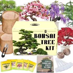 Equsym 445019295260 5 Types Bonsai Tree Kit - Starter Tools Set With Soil Pots Scissor Pla