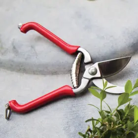 Esschert Design 714982089145 Pruner Small #2