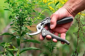 10930 Ez Kut Kamikaze Force Bypass Pruning Shears Heavy Duty - Best Pruners For Gar #3