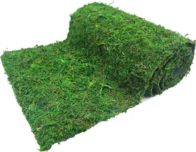 Sre-0000010 Faicoia Moss Table Runner Dried Roll 12 X 71 Inch/30x180cm Natural Green