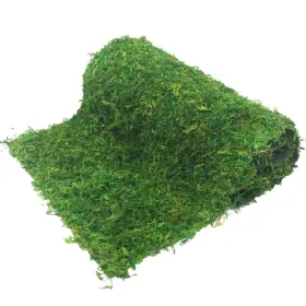 Sre-0000119 Faicoia Moss Table Runner Dried For Crafts 12 X 60 Inch/30x153cm Green