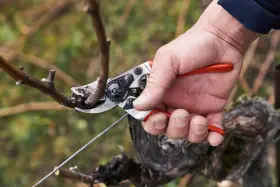 8392940455 Felco Pruning Shears F 14 - High Performance Swiss Made One-hand Garden Pruner #3