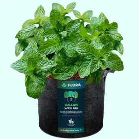 311001 Flora 5-gallon Thickened 300g Nonwoven Fabric Grow Bags For Plants Heavy-dut