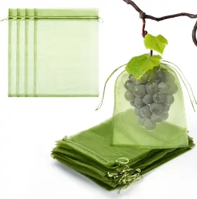 232323 Florasea 50 Pcs 8x12 Inches Fruit Protection Bags For Green