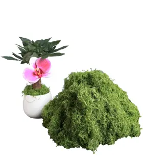 Forlaoers Hy251014 5.3oz Green Fake Moss Artificial Floral Faux Plant For Diy A