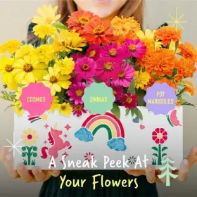Garden Republic Jr. 852482008100 Paint And Plant Flower Growing Kit For Kids - Best Birthday Crafts Gifts #3