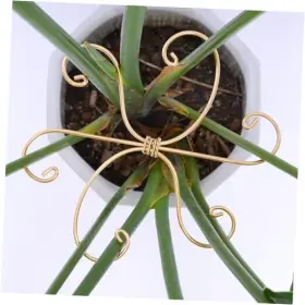 Abc-1 Gotrays 5pcs 7.5 Inch Monstera Plant Stem Support Hook - 7.5in