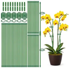 Gpgrowft Wm219 40 Pcs Plant Support Stakes Indoor 20pcs 12inch 16inch