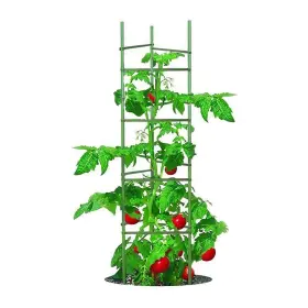 Growsun 659516289388 Tomato Cage 5ft 6-pack Large Tall Cages Stakes Plants Supports