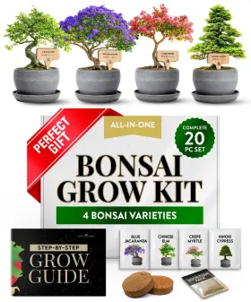 Home Grown 850056627719 Bonsai Tree Kit Grow 4 Types Indoors With Complete Starter Inclu