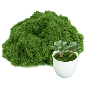Moss01 Homekoey Fake Green Moss Artificial Faux For Crafts Fairy Garden Table Decor Plants